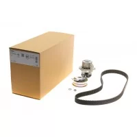 Комплект ГРМ + помпа VW Caddy III/T5 2.0 06-15 (23x138z)