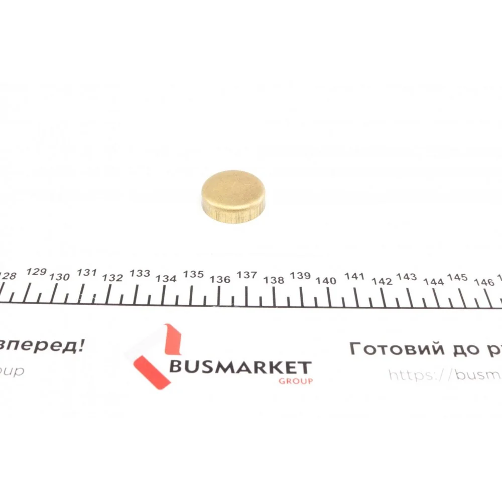 Заглушка блоку циліндрів (d=27mm) Латунь/Brass