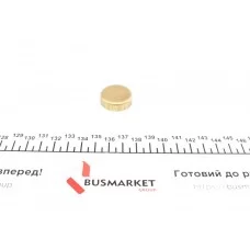 Заглушка блоку циліндрів (d=27mm) Латунь/Brass