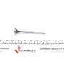 Клапан (випуск) Citroen Jumpy/Fiat Scudo/Peugeot Expert 2.0HDi 16V 99- (25x6x106.2) (хромування)