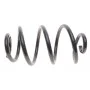 Пружина (задня) Renault Clio III/Modus 1.2-2.0 16V/1.5dCi 04-