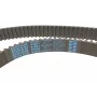 Ремінь ГРМ VW Golf III 92-97/Passat B3/B4 2.0 94-97 (25.4x151)