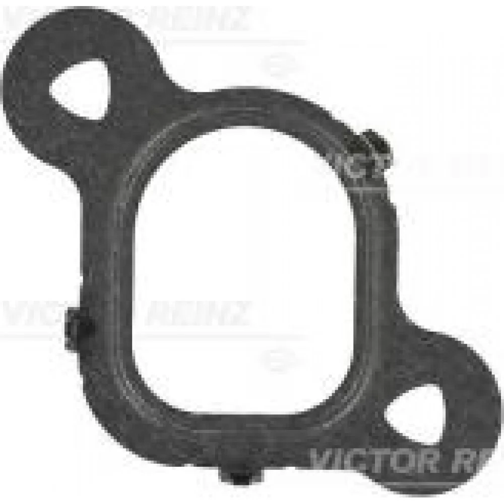 Прокладка колектора впускного VW T5 2.5 TDI 03-10 (1 цил)