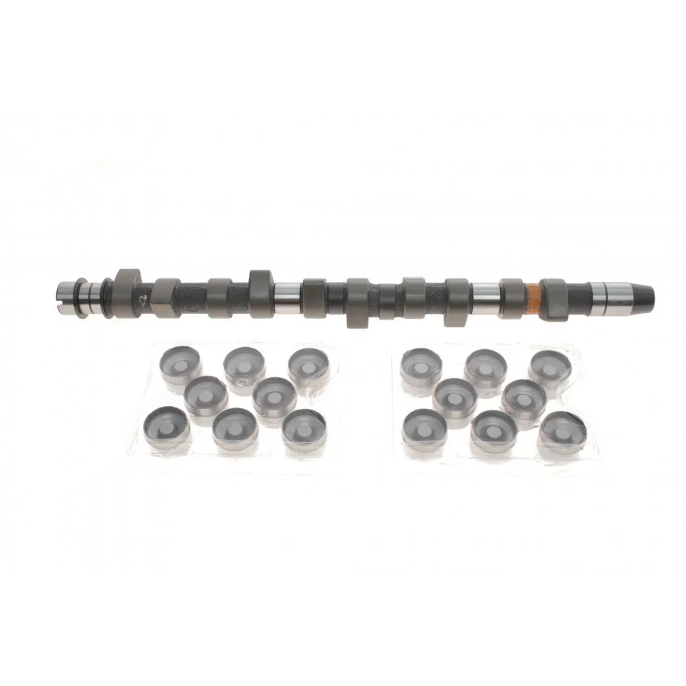 Комплект розподільчого валу VW Crafter/LT/T4 2.5TDI 96-13, BJJ/BJK/BJL/BJM