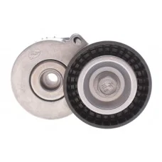 Натяжник ременя генератора Fiat Scudo/Peugeot Boxer/Partner 2.0-2.2HDI 99-