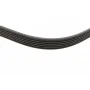 Ремінь генератора Fiat Scudo 1.6/ Renault Kangoo 1.9D 97-/ VW Golf/ Passat 1.6-2.0 90-02 (6PK894)