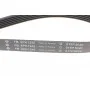Ремінь генератора Citroen Jumpy 2.0HDI 10- (6PK1245)