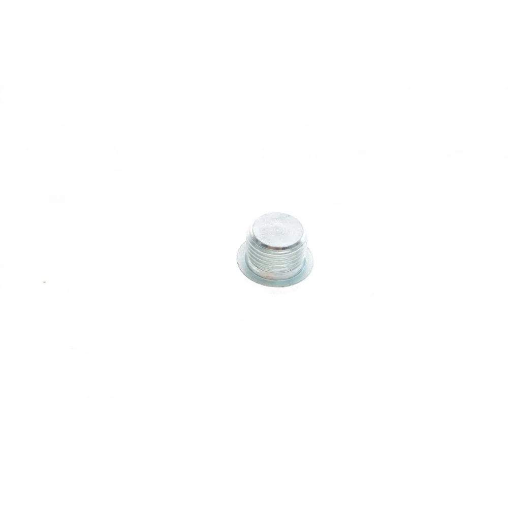Болт зливу оливи BMW 1 (F20/F21) 1.6 i (N13) 11-  (M18x1,5)