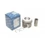 Поршень BMW 3 (E90-93)/5 (E60/E61)/X3 (E83) 2.0D 04-13 (84.25mm/+0.25)