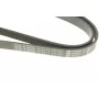 Ремінь генератора Fiat Doblo1.3-1.6 D 10-/Opel Astra F/Corsa B/Vectra B 1.4-1.8/ 94-03 (6PK1530)