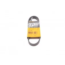 Ремінь генератора VW Caddy/Golf/Skoda Octavia 1.6/2.0 04-15/Fiat Ducato 2.5TDI 94-02/Scudo 1.6 96-06