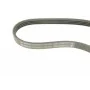Ремінь генератора Opel Agila 1.0/1.2 08-14/Suzuki Swift 1.2 10- (4PK760)