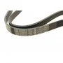 Ремінь генератора Citroen Jumper/Peugeot Boxer 3.0HDI (6PK1165)