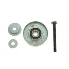 Ролик генератора Skoda Fabia/Roomster/VW Fox/Polo 1.2 01- (паразитний) (76x24)