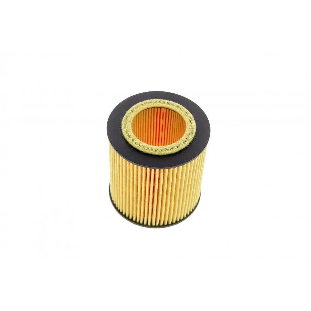 Фільтр масляний BMW 3 (E90/F30)/5 (E60/F10) 05-16 (N52/N53/N20/N55)