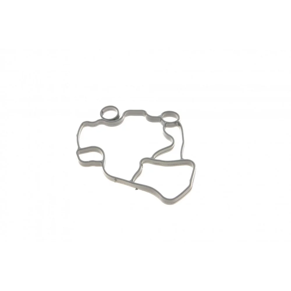 Прокладка корпуса фільтра масляного Audi A4/A6 2.0TFSI/VW Golf V 2.0 06-