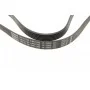 Ремінь генератора Citroen Berlingo 1.6HDi 05-11/Jumpy 2.0 00-06 (6PK1705)