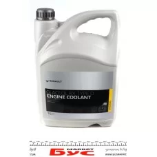 Антифриз (зелений) (5л) (-21°C) Renault Glaceol RX Type D