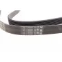 Ремінь генератора BMW 3 (E90)/5 (E60)/7 (E65/E66/E67)/X5 (E70) 04-11