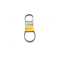 Ремінь генератора Honda Civic VI/Nissan Primera/Citroen Berlingo 1.4-1.6 16V 94-05 (4PK800)