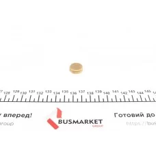 Заглушка блоку циліндрів (d=18mm) Латунь/Brass