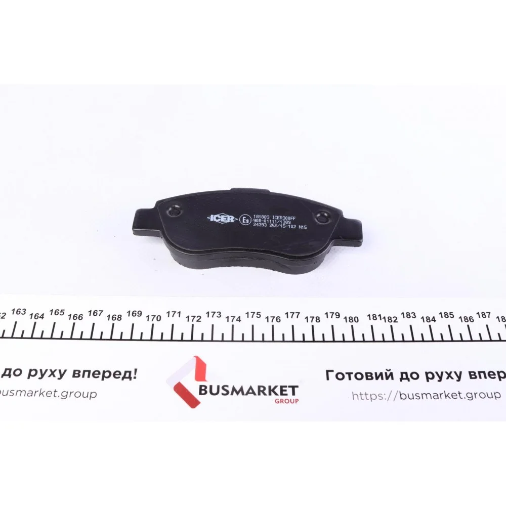 Колодки гальмівні (передні) Renault Megane II 03-/Scenic II 03-08/Fiat Palio 97-/Siena/Albea 01-12