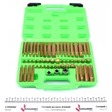 Набір біт (для важкого режиму) (6/12-гранні/Torx) (55шт)
