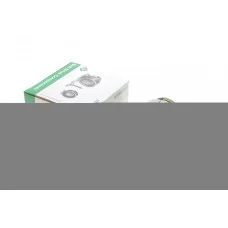 Натяжник ременя генератора Renault Trafic II 1.9dci/2.0 16V 01-, F9Q760/762, F4R 720/722/820 (-AC)
