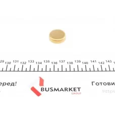 Заглушка блоку циліндрів (d=24mm) Латунь/Brass