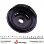 Шків колінвалу + шків генератора Renault Megane/Laguna 2.0 16V 02- (7PK)