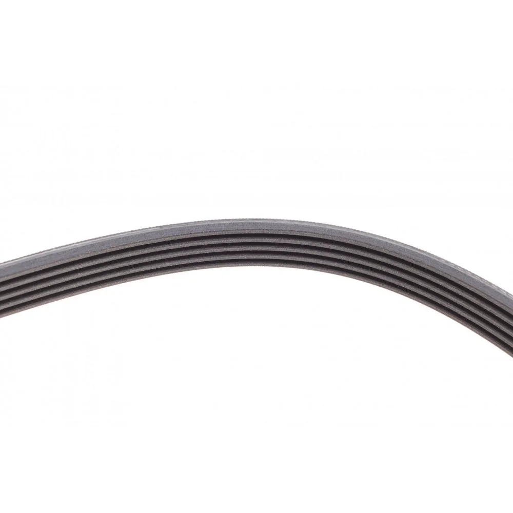 Ремінь генератора Opel Zafira/Astra 1.6/1.8 05-15/Fiat 1.6/1.8 05-/Chevrolet Orlando 1.8 11-