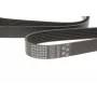Ремінь генератора Infiniti Q60/Q70/QX50/QX70 3.7 13- (7PK2020XS)