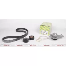 Комплект ГРМ + помпа Citroen Berlingo/Jumpy 1.6HDI 10- (141/25/z141)