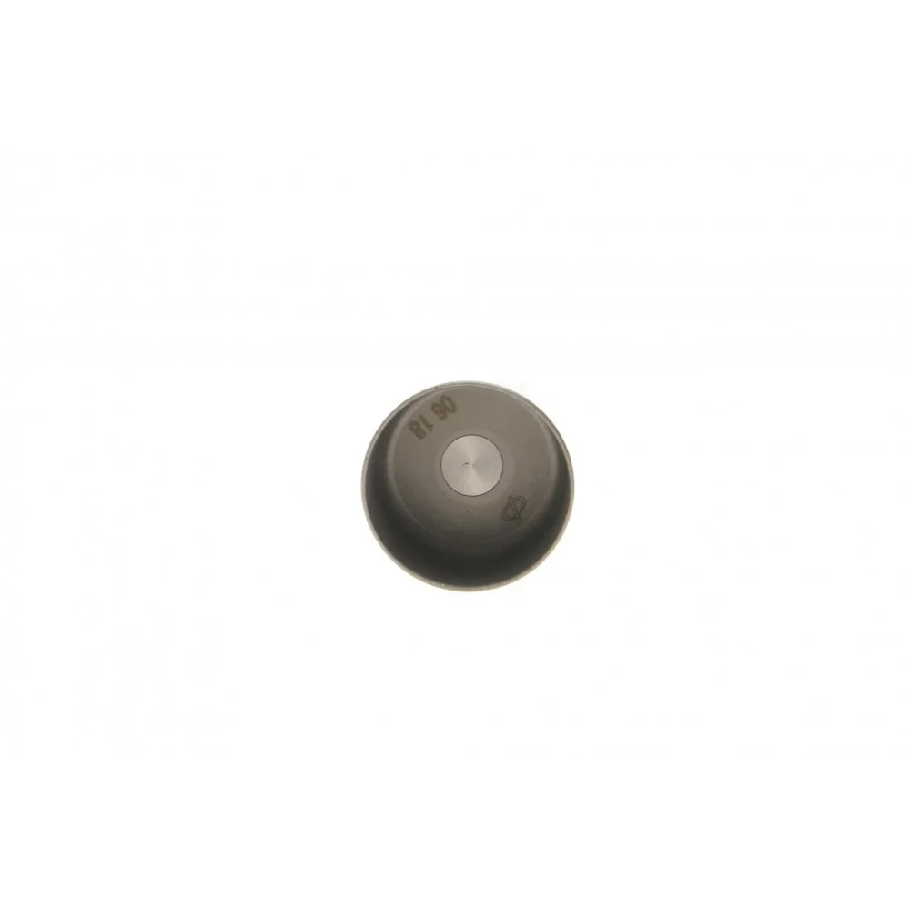 Гідрокомпенсатор Fiat Scudo/Citroen Jumpy/Opel Astra H/Vectra C 1.0-2.4D 73- (37mm)