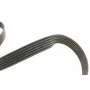 Комплект ременя генератора VW Caddy II 1.4/1.6 95-04 (6PK1070)