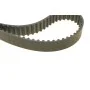 Комплект ГРМ + помпа Audi A3/A4/A5/A6/Q3/VW Caddy/T6 2.0TDI 15-/Golf VII 1.6TDI/2.0TDI 12- (25x145z)