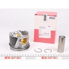 Поршень VW Caddy/Golf/Passat 2.0TDI 05- (81.01mm/STD)