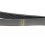 Ремінь генератора Daf CF/XF 12.9 05- (9PK1424)