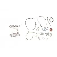 Ремкомплект насосу вакуумного Audi A2/A3/A4/A6/VW Golf/Ford Galaxy 1.2-1.9 TDI 00-10
