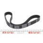 Ремінь генератора Opel Movano 2.8DTI 98-01 (ALT,WP) (6PK845)