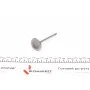 Клапан (впуск) Audi A4/A6/VW Golf V/VII 1.8TSI-4.2FSI 02- (33.8x6x104) (азотований)