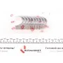 Вкладиші корінні Renault Trafic III 1.6dCi/Opel Vivaro B 1.6CDTI 14- (+0.50) (R9M) = 6038155000
