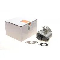 Клапан EGR Fiat Ducato 2.2D Multijet/Ford Transit 2.2TDCI 06-