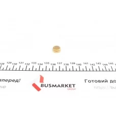 Заглушка блоку циліндрів (d=14mm) Латунь/Brass