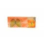 Освіжувач повітря салону Vinci Fresh Wind Mandarin (7г)