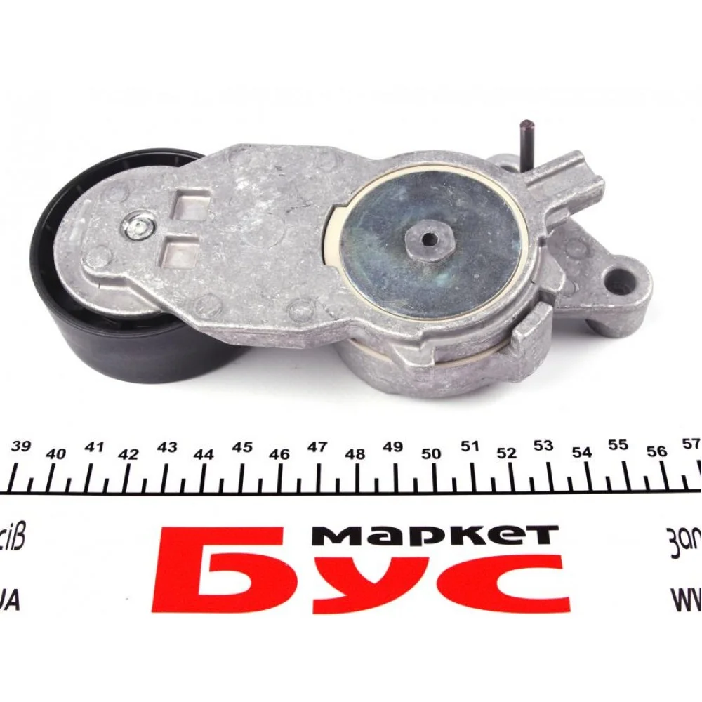 Натяжник ременя генератора Citroen/Peugeot/Ford 1.4HDi/1.6TDCi 01-