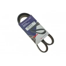 Ремінь генератора Fiat Ducato 2.5/2.8 JTD 97-02 (6PK946)