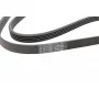 Ремінь генератора Opel Combo/Corsa/Meriva 1.2/1.4 00-/Mitsubishi Galant 2.0 96-00 (5PK1370)