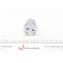 Поршень супорта (заднього) Renault Master/Opel Movano 10- (48x53.5mm) (Brembo)(з механізмом)