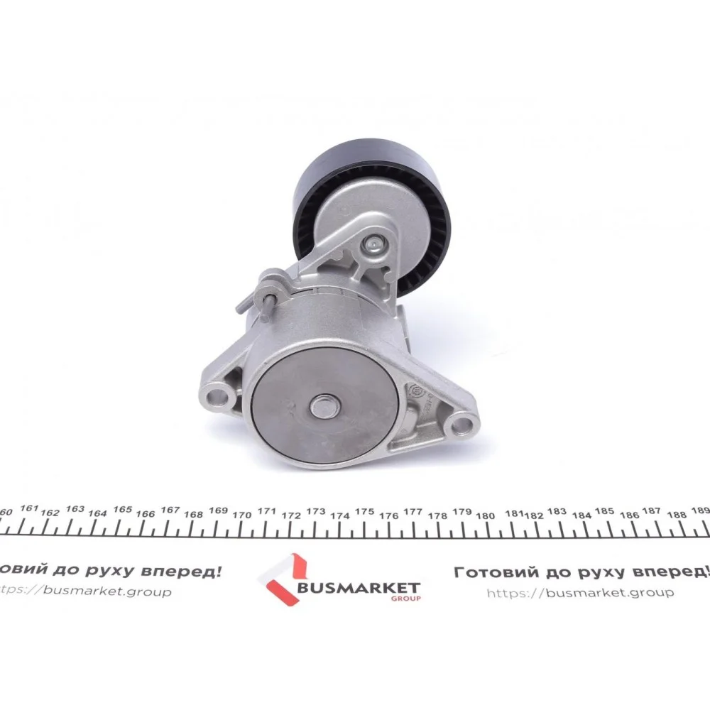 Натяжник ременя генератора BMW 3/5/7/X5 1.6/2.0/2.5/2.8/3.0 95-, M43/M52/M54